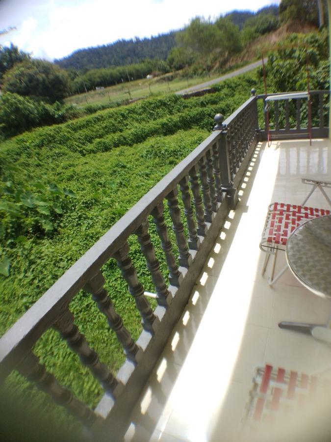 Hana Guest house